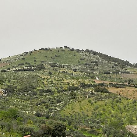 Casa Da Avo Maria, Largo De Santo Antonio, N 97395Al Leilighet Freixo de Espada à Cinta Eksteriør bilde